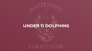 Under 11 Dolphins