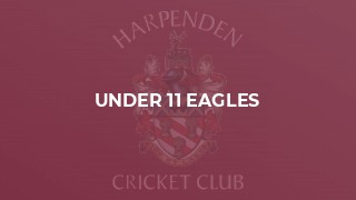 Under 11 Eagles