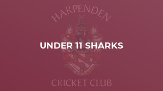 Under 11 Sharks