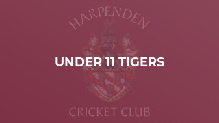 Under 11 Tigers