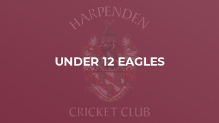 Under 12 Eagles