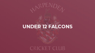 Under 12 Falcons