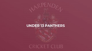 Under 13 Panthers