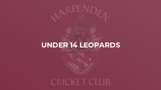 Under 14 Leopards