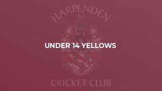 Under 14 Yellows