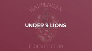 Under 9 Lions