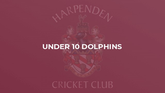 Under 10 Dolphins