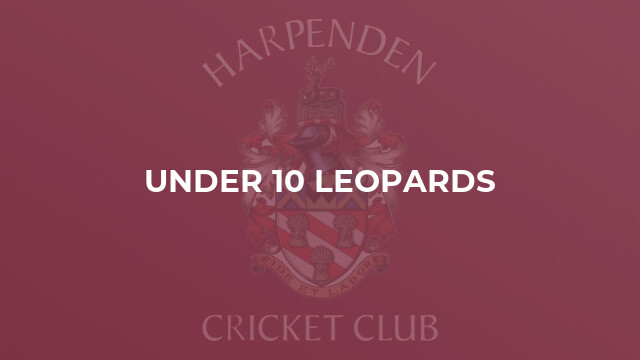 Under 10 Leopards