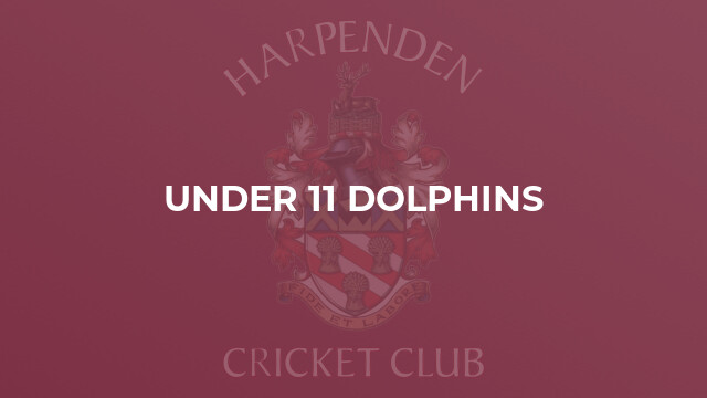 Under 11 Dolphins