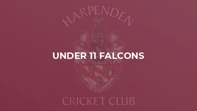 Under 11 Falcons