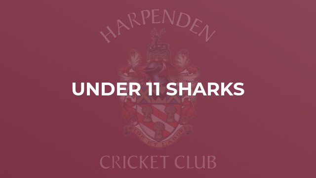 Under 11 Sharks