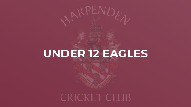 Under 12 Eagles
