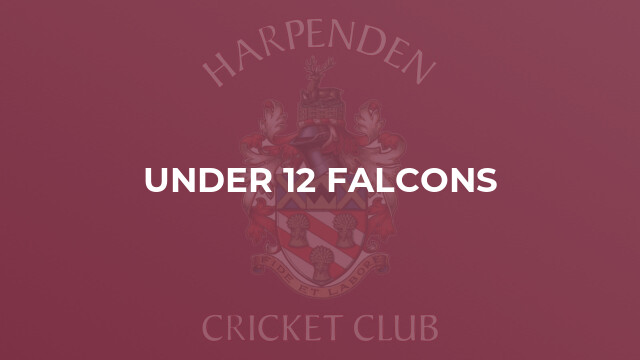 Under 12 Falcons