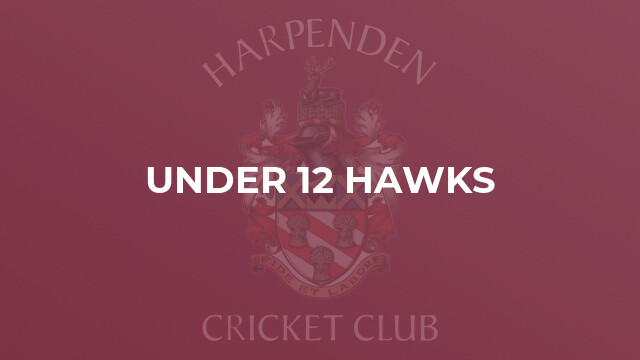 Under 12 Hawks