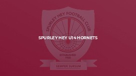 Spurley Hey U14 Hornets