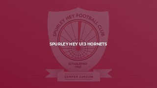 Spurley Hey U13 Hornets
