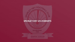 Spurley Hey U14 Hornets