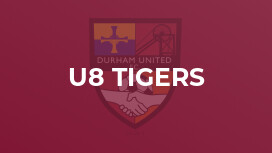 U8 Tigers