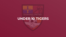 Under 10 Tigers