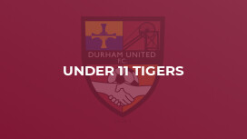 Under 11 Tigers