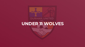 Under 11 Wolves