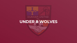 Under 8 Wolves