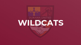 Wildcats
