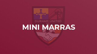 Mini Marras