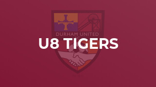U8 Tigers