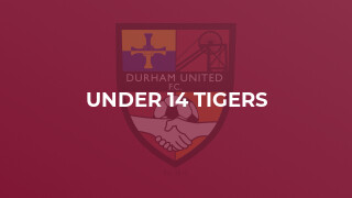 Under 14 Tigers