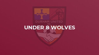 Under 8 Wolves