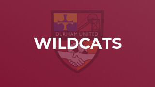 Wildcats
