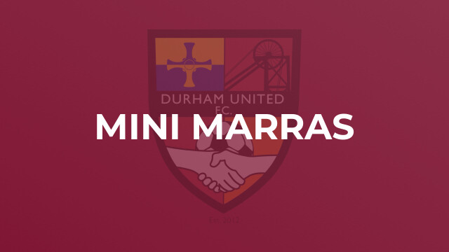 Mini Marras