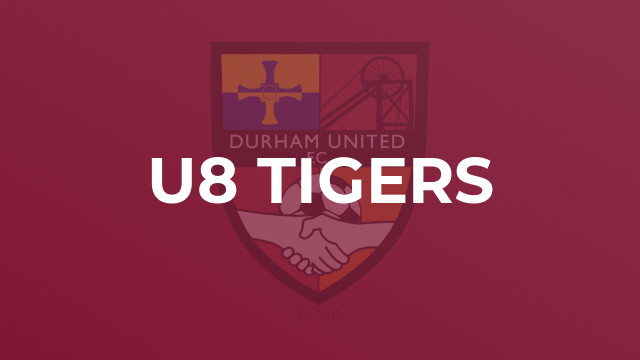 U8 Tigers