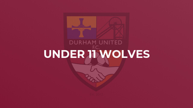 Under 11 Wolves