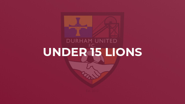 Under 15 Lions