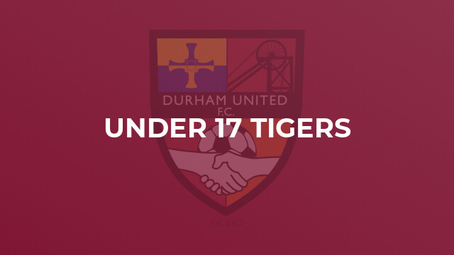 Under 17 Tigers