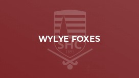 Wylye Foxes