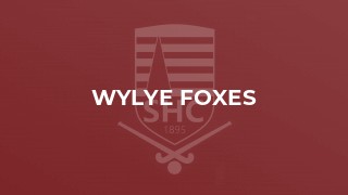 Wylye Foxes