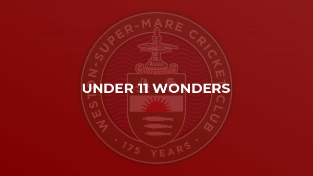 Under 11 Wonders