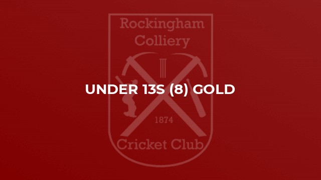 Under 13s (8) Gold