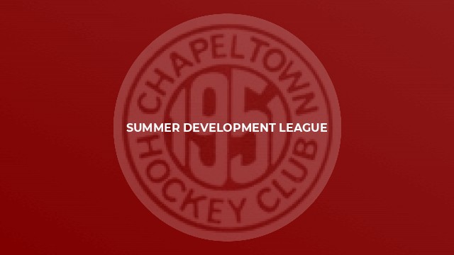 Summer Development League
