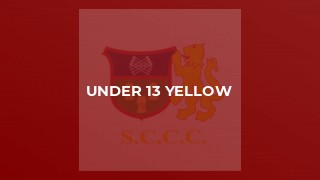 Under 13 Yellow