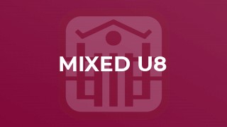 Mixed u8