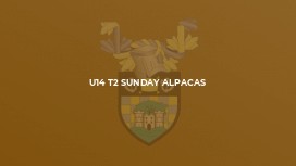 U14 T2 Sunday Alpacas