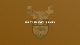 U14 T2 Sunday Llamas