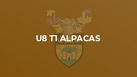 U8 T1 ALPACAS