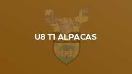 U8 T1 Alpacas