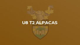 U8 T2 ALPACAS
