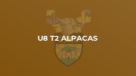 U8 T2 Alpacas